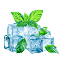 ice-cubes-and-fresh-mint-leaves-png